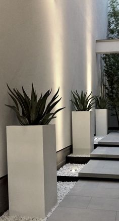 some white planters with plants in them on the side of a building at night