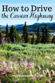 the grass field with mountains in the background and text overlay that reads how to drive the cassia highway