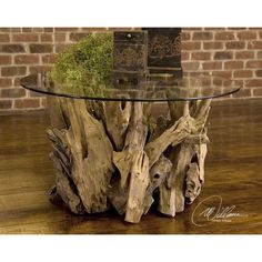 a glass table that has some kind of tree stump on it with moss growing out of the top