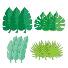 four different types of green leaves on a white background, one is cut out and the other