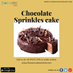 a chocolate cake with sprinkles on it is for flowercakes online