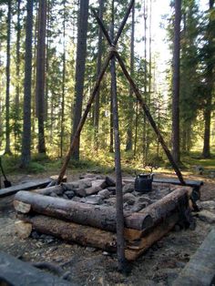 an old fire pit in the middle of a forest