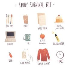 the study survival kit is shown in this graphic style, and includes items for each student to use