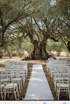 an outdoor ceremony setup with white chairs under a large tree in the middle of a field