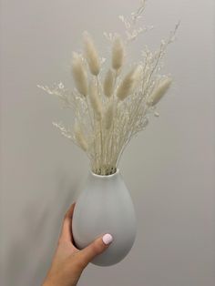 a hand is holding a vase with some flowers in it and the wall behind it