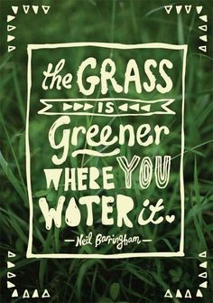 the grass is greener where you water it