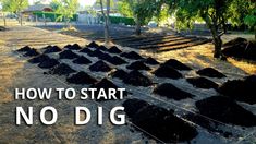 rows of dirt with the words how to start no dig on it in front of trees