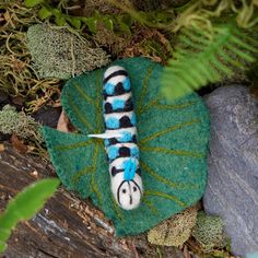 a blue and black striped caterpillar sitting on top of a green leaf next to some rocks