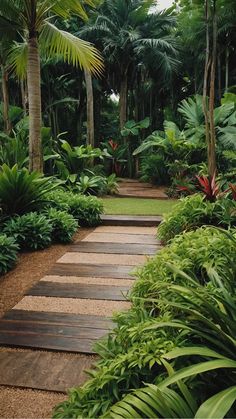 a pathway in the middle of a tropical garden with lots of trees and plants on either side