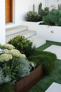 an assortment of plants in wooden planters on artificial grass area with white building and steps