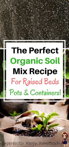 the perfect organic soil mix recipe for raised beds