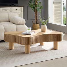 a living room with a couch, coffee table and potted plant