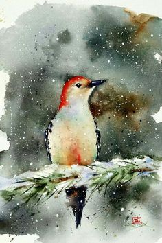 a watercolor painting of a bird perched on a branch in the snow with pine needles