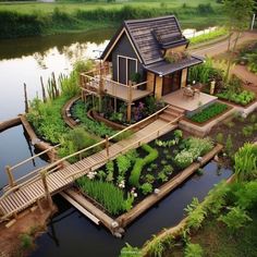 an aerial view of a house on the water's edge with plants growing in it