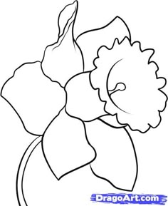 a drawing of a flower that is in the shape of a vase on a white background