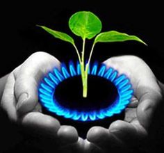 two hands holding a green plant with blue flames coming out of it and a black background