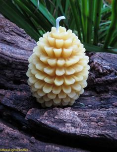 a small yellow object sitting on top of a tree branch