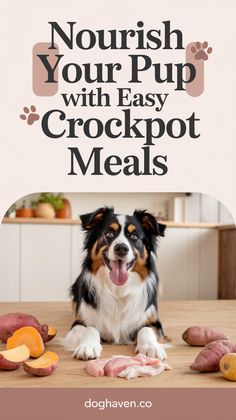 a dog sitting on top of a wooden table next to some meat and potatoes with the words nourish your pup with easy crockpot meals