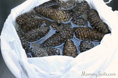 a bag filled with lots of bees sitting on top of a table