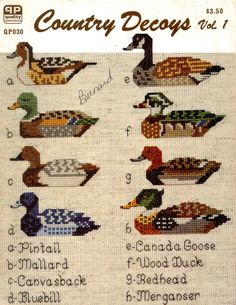 the cross stitch pattern shows different ducks