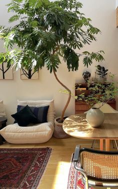 a living room filled with furniture and a potted plant on top of a table