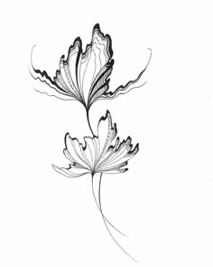 a black and white drawing of a flower