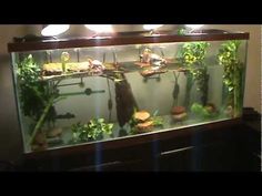 an aquarium filled with lots of plants and fish in it's tank on top of a table