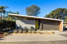 a modern house in the middle of palm trees and plants on either side of it