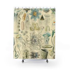 Jelly Fish Shower Curtain with sea life painting design, marine-themed bathroom decor featuring colorful jellyfish art. Fish Shower Curtain, Sea Life Painting, Sea Life Creatures, Adolphe Millot, Full Bathroom Remodel, Jelly Fish, Painting Bathroom, Designer Shower Curtains, Sea Creatures