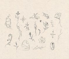 a drawing of various flowers and plants on paper