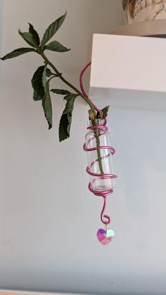 a single rose in a glass vase hanging from a hook on a white wall next to a plant