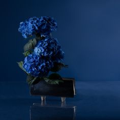 a vase with blue flowers in it sitting on a table