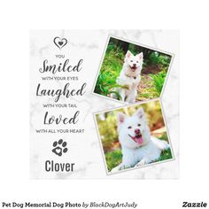 a card with two pictures of a dog