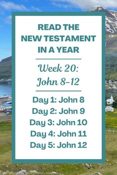 Join me in a journey to read the New Testament in a year. This week, we will read John 8-12. In these Bible passages, we will explore Jesus' identity as the Light of the world, as well as witness healings and His entry into Jerusalem. #Bible #BibleStudy #GospelOfJohn