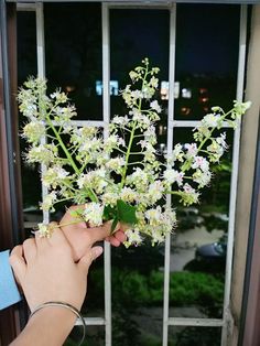 a person is holding flowers in front of a window with the night sky behind them