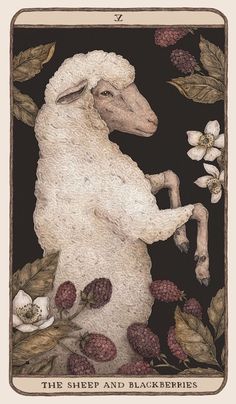 the sheep and blackberries tarot card