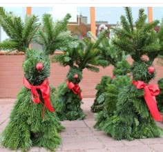 small christmas trees with red bows are on the sidewalk in front of a storefront