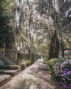 a dirt road with flowers and trees on both sides in front of a row of houses