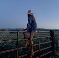 a woman standing on top of a wooden fence