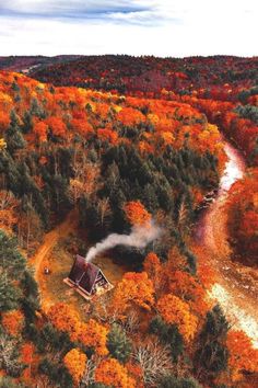 an aerial view of a cabin in the middle of a forest with lots of trees