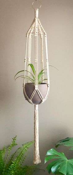 a macrame hanging planter with plants in it