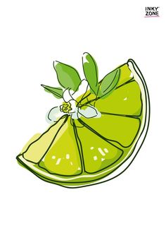 an illustration of a lime slice with leaves and flowers on it's side, cut in half