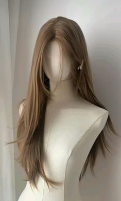 Hair Stages, Brown Straight Hair, Hair Style Korea, Really Long Hair, Dyed Hair Inspiration, Long Hair Color, Hair Tips Video