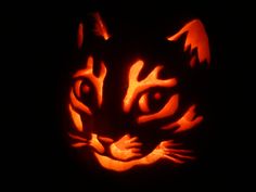 a cat carved into the shape of a pumpkin