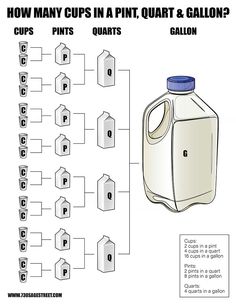 how many cups in a pint quart & gallon? info graphic by the printables