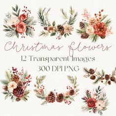 christmas flowers and pine cones clipart