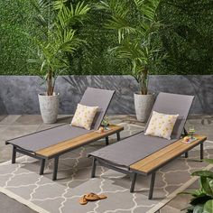 two lounge chairs sitting on top of a rug next to a potted palm tree