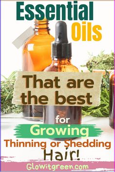 Want to grow your thinning or shedding hair or recover from hair loss? Try these essential oils to transform it into thick, healthy hair! Essential oils can powerfully boost hair growth, stimulate hair follicles, and give you the voluminous hair you've always wanted. Learn which potent plant properties in these essential oils naturally revive lackluster or thin hair for a fuller, healthier look and feel! .. Oils Good For Hair Growth, Remedies For Hairline Growth, Natural Hair Growth Oil Recipe, Oils To Grow Hair, Oils For Thinning Hair, Growing Hair Long, Best Oils For Hair, Best Oil For Hair Growth, Hair Essential Oils