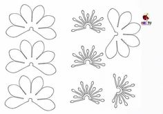 four different types of flower shapes on a white background with the words, how to draw flowers