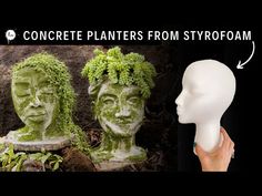 two statues with plants growing out of them and the words concrete planters from styrofoam